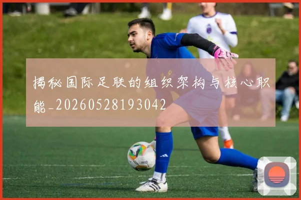 揭秘国际足联的组织架构与核心职能_20260528193042