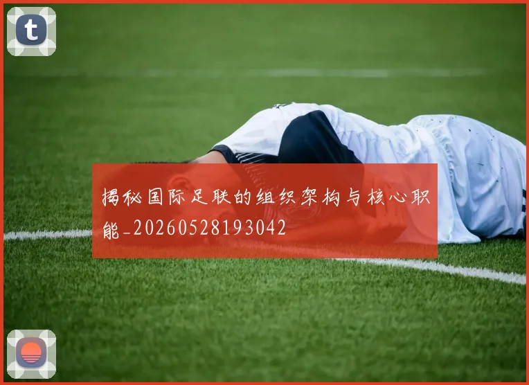 揭秘国际足联的组织架构与核心职能_20260528193042